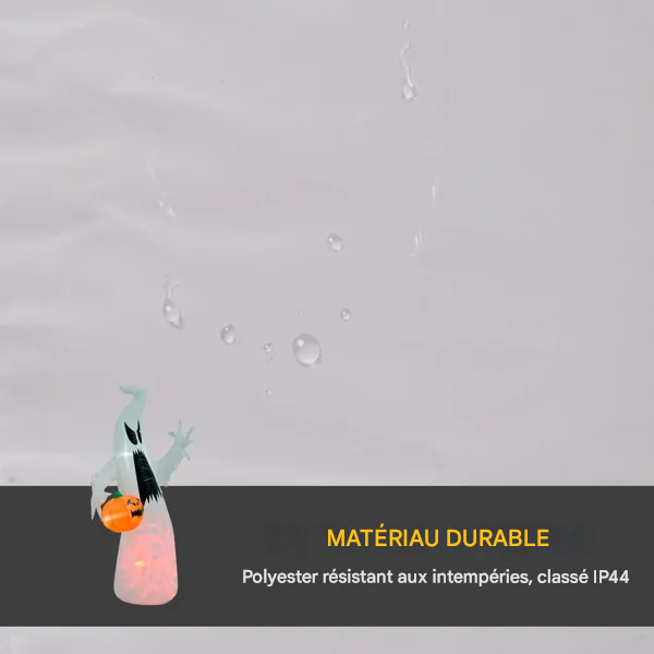 Boo & la Citrouille